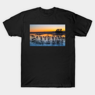 Glorious Sunset T-Shirt